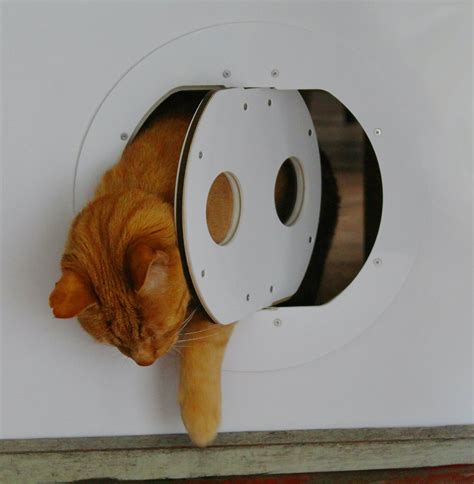 Buy Petflap Cat Door for Exterior Door, Window, and Walls | Draft and