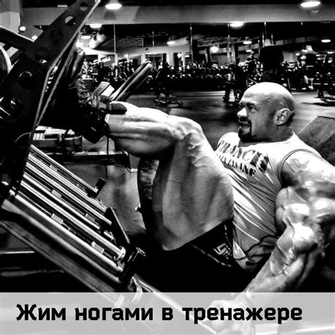 Жим ногами в тренажере