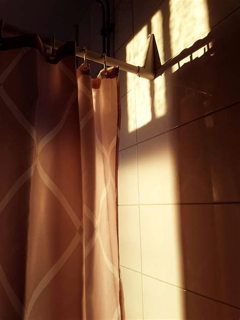 750+ Golden Shower Pictures | Download Free Images & Stock Photos on ...