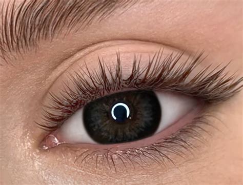 Купить увеличивающие черные линзы на 12 мес. Marquise big black - gray ...