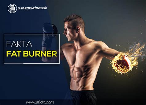 penjelasan  fakta tentang fat burner
