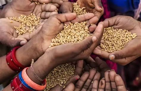 pds food grains  january  february