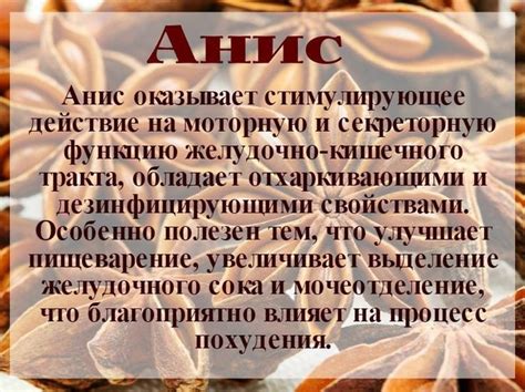 Новости | Health, Cooking, Medicinal plants