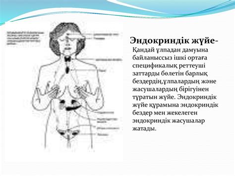 Эндокринді жүйе - презентация онлайн