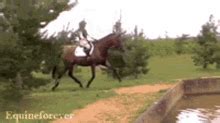 horse riding gifs tenor