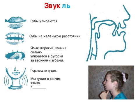 Постановка звука Ль: подготовка и методика работы