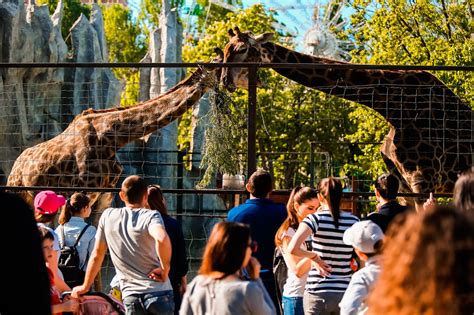 26 лучших достопримечательностей Краснодара - описание и фото