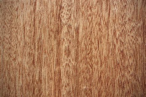 Okoume Wood: A Perfect Choice for Luxury Desktop Humidors — Centient ...