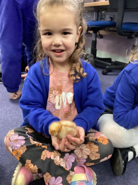 Thurleigh Primary School - Admissions