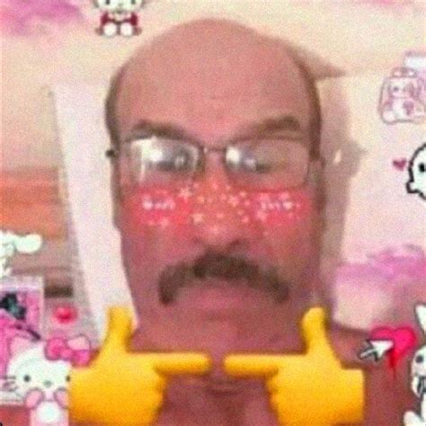 pics meme pfp funny cute cat meme pfp wallpaper wallpapersok