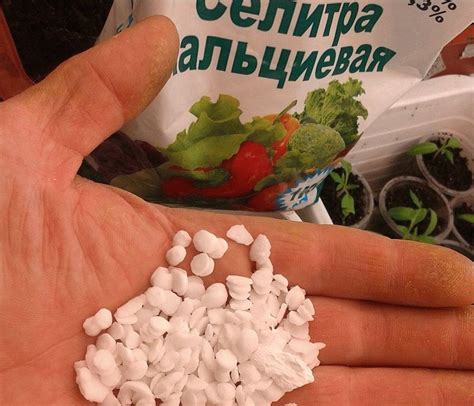 Азотные удобрения: какие бывают (виды, названия с фото)