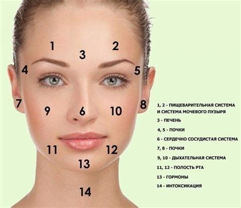 Левомеколь мазь 40 г - инструкция, цена, состав. Купить в Аптека ...