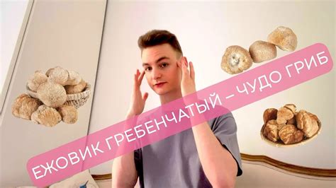 🧠Ежовик Гребенчатый🧠 #ежовик #биохакинг #ноотропы #ежевик - YouTube