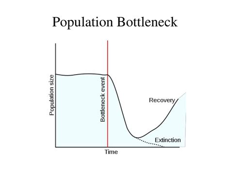 PPT - Population Genetics PowerPoint Presentation, free download - ID ...