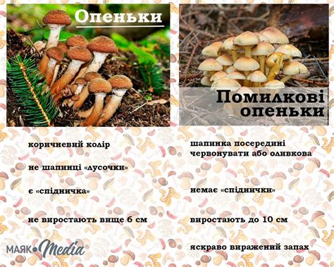 Біологія: Вітаю! Середа, 29 квітня, тиждень А