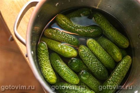 Маринованные огурцы с тархуном. Рецепт с фото