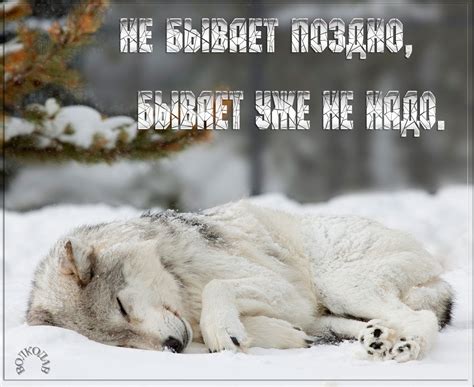 Не бывает поздно, бывает уже не надо. | Wolf dog, Sleeping wolf ...