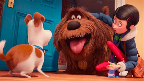 Mascotas Tráiler - SensaCine.com