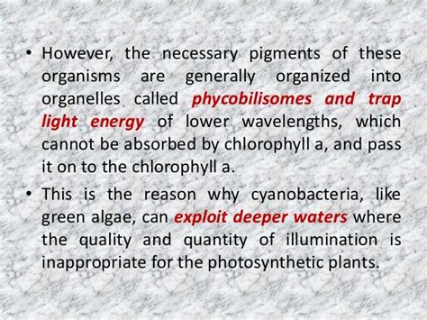 Prokaryotic and Eukaryotic Algal cell structure