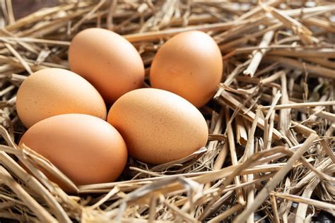 comment faire des oeufs durs parfaits