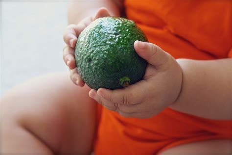 7 интересных фактов о прикорме - mama.ru