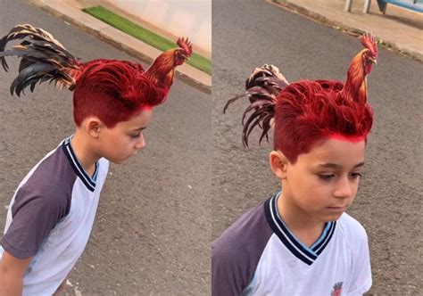 Galo Na Cabeça De Criança - Dia do Cabelo Maluco: mãe faz penteado inspirado em galo e viraliza ...