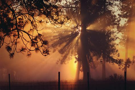 What is Lens Flare in Photography? (+ Tips to Create or Stop it)