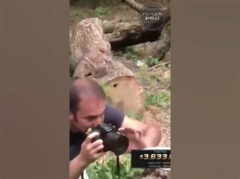 Cлучайный покер мем №10 #shorts #short #pokermemes #pokershorts # ...