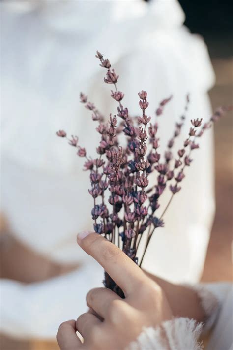 Charter Coach Bus Rentals - 8 Amazing Benefits You Can’t Ignore