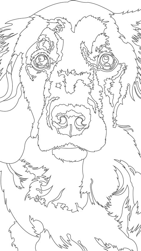 Funky Animals on Behance