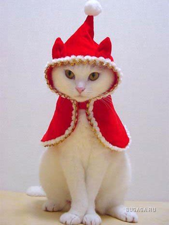 Новогодние животные