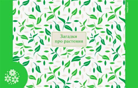 Загадки про растения с ответами для детей