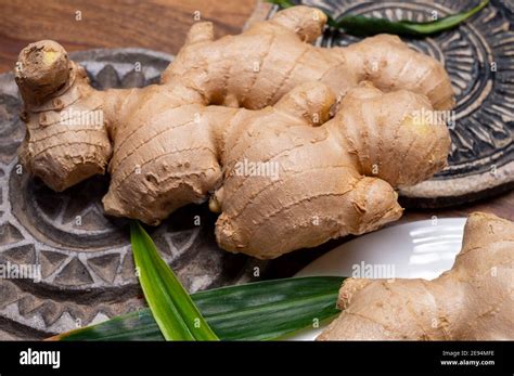 fresh organic ginger rhizome root   traditional medicines
