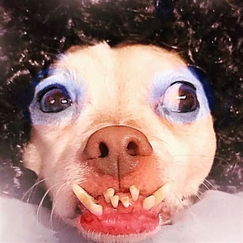 The House of Rabies! (@rabie_taybee_baby) • Threads, Say more