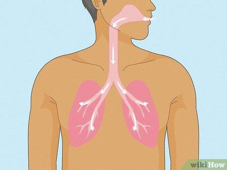 how to increase oxygen levels at home