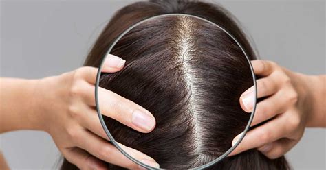 Scalp Human Body