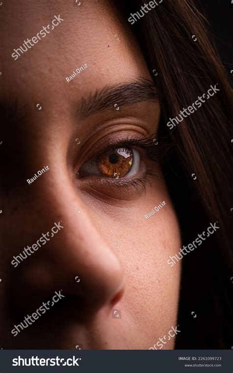 10,184 Amber Eyes Images, Stock Photos, 3D objects, & Vectors ...