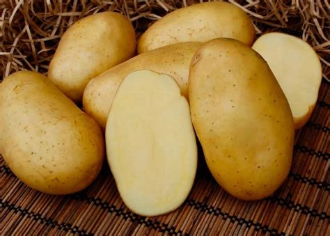 Брянский картофель: описание сорта, характеристика, вкус