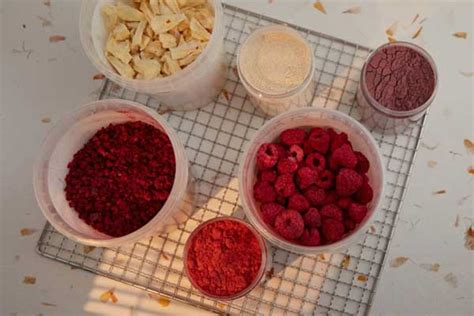 freeze dried  dried fruit freeze dried guide