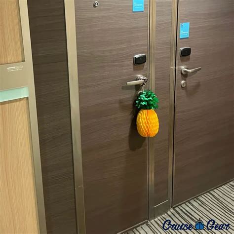 The Upside down pineapple on cruise ships, a hidden meaning explained ...