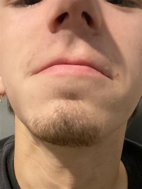 What kind of beard should I try? : r/BeardAdvice
