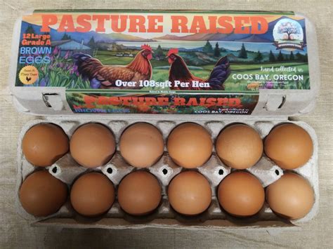 Eggs: Pasture Raised (One dozen) - OtterBee's Market