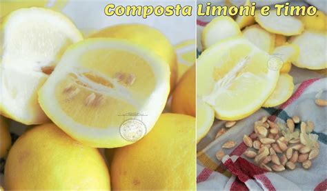 Difatti vanno inseriti dentro un setaccio da infusione per il te oppure ...