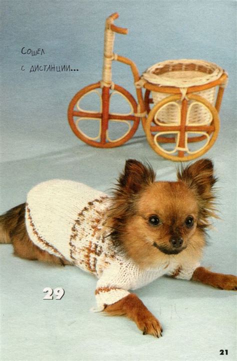 Шьем и вяжем для маленьких собачек. | Dog clothes patterns sewing, Dog ...