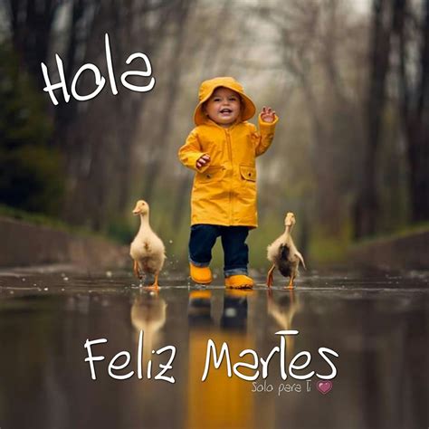 imagenes de feliz martes  whatsapp pagina  imagenes cool