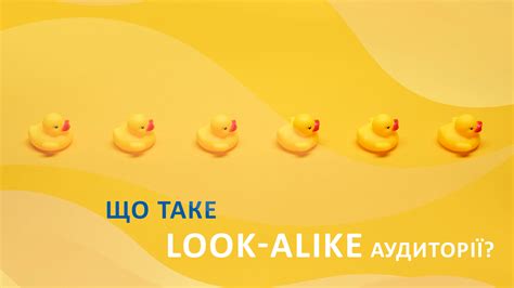 Що таке look-alike аудиторії: для чого вони потрібні і як ...