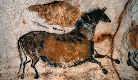 The Cave Art Paintings of the Lascaux Cave