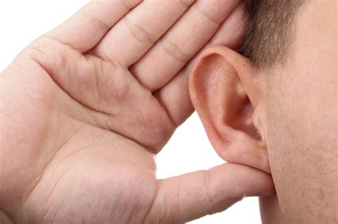 Hướng dẫn hear đi với tất cả các giới từ