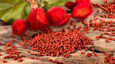 Use Annatto Seeds To Spice Up Your Next Pork Dish