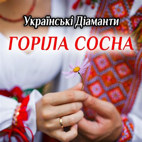 Горіла сосна - YouTube Music